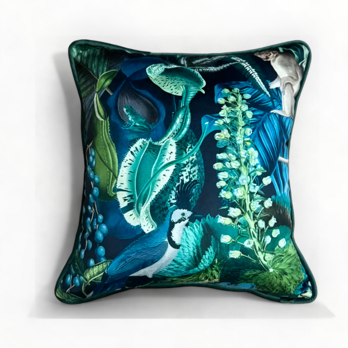 Scatter Cushion | Botanical B2| House Range 45x48cm