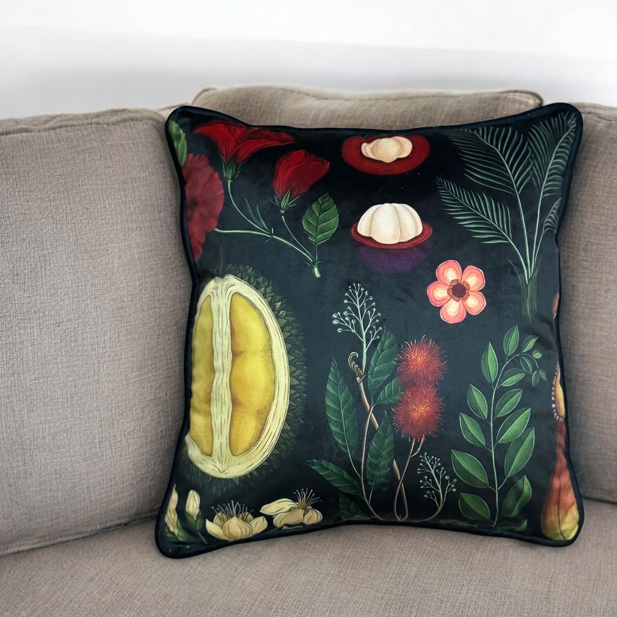 Scatter Cushion | Botanical B4 | House Range 45x48cm