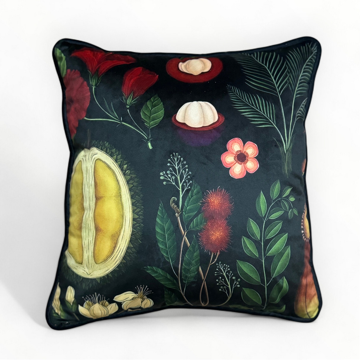 Scatter Cushion | Botanical B4 | House Range 45x48cm