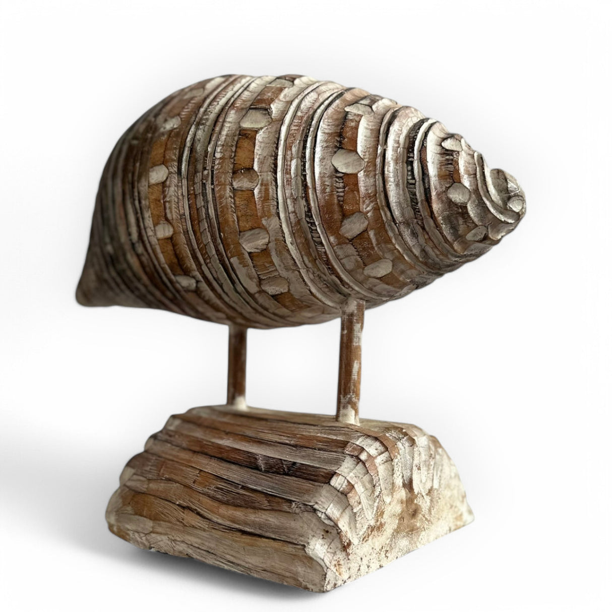 Sleeping Snail | Natural