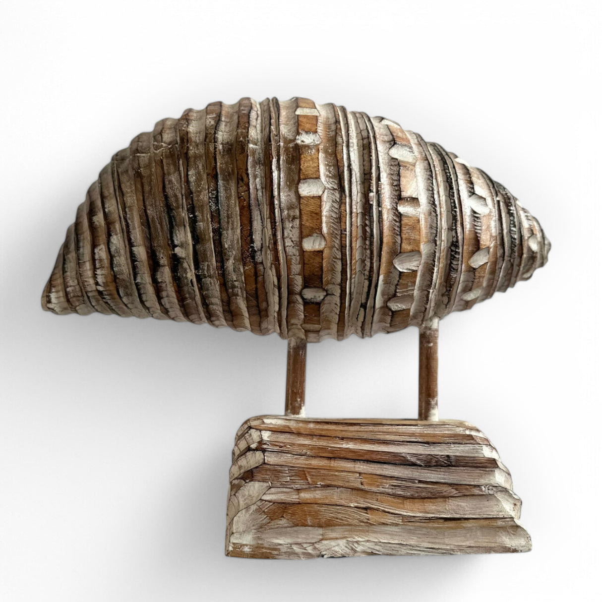 Sleeping Snail | Natural