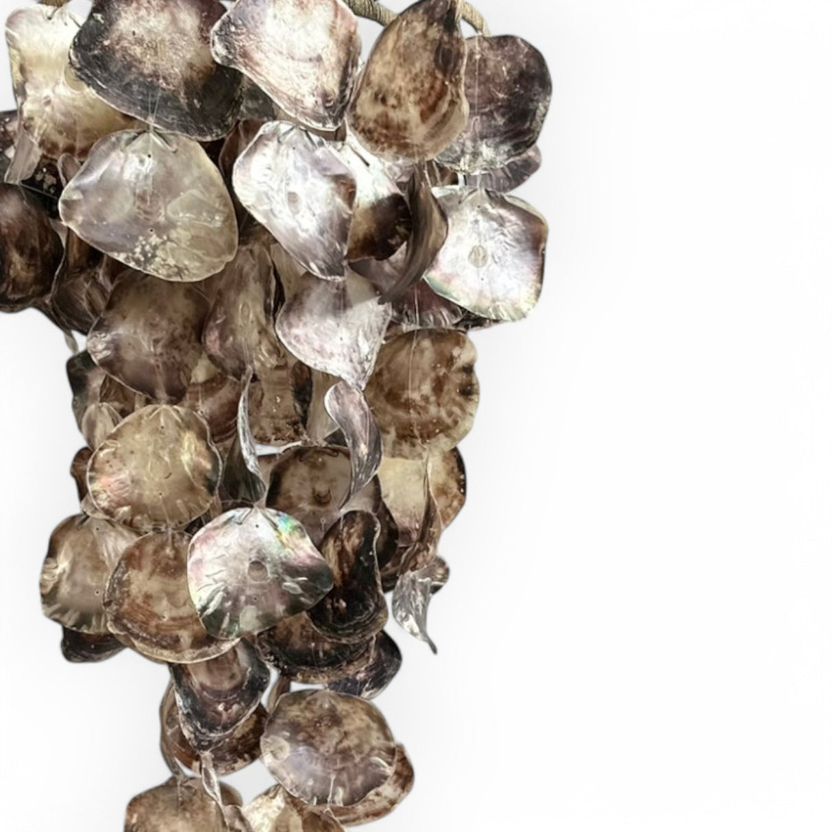 Large Hanging Light/Chandelier | Cascading Sea Shells