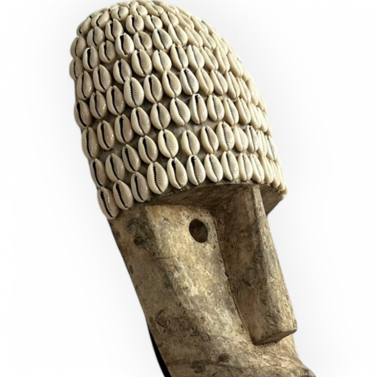 Shell Head Ornament | Wood Washed