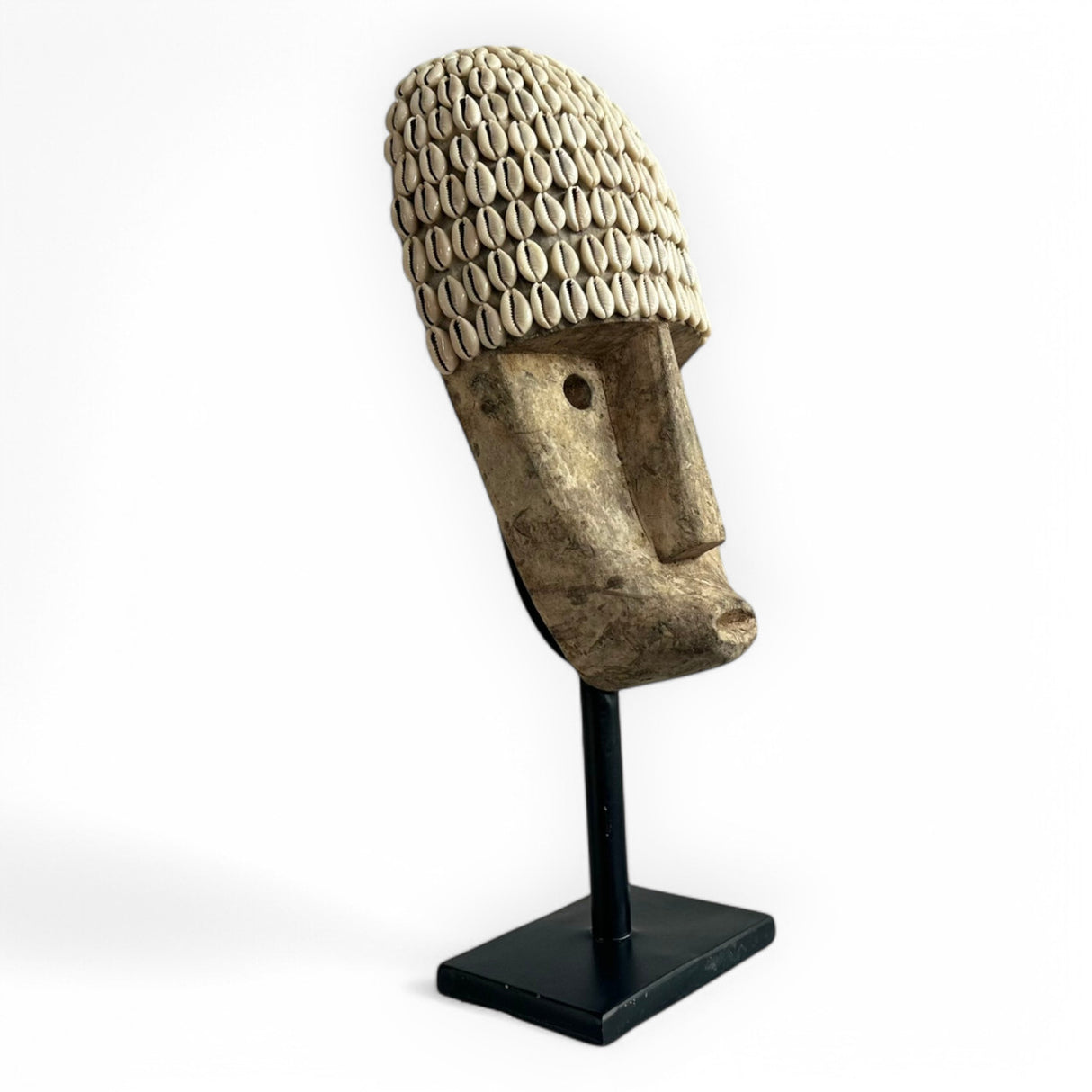 Shell Head Ornament | Wood Washed