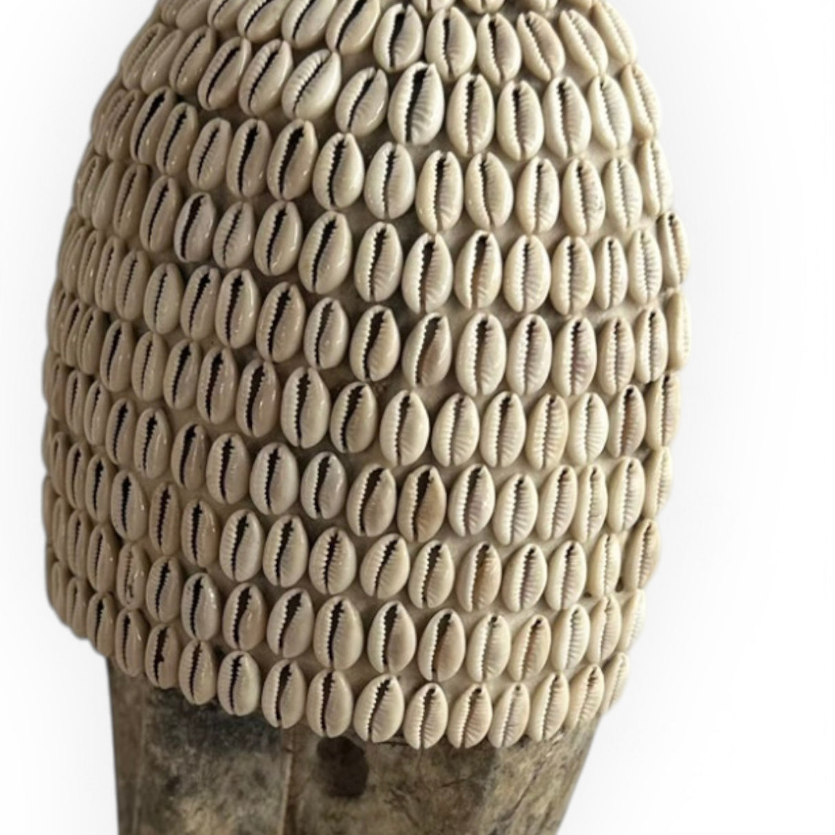 Shell Head Ornament | Wood Washed