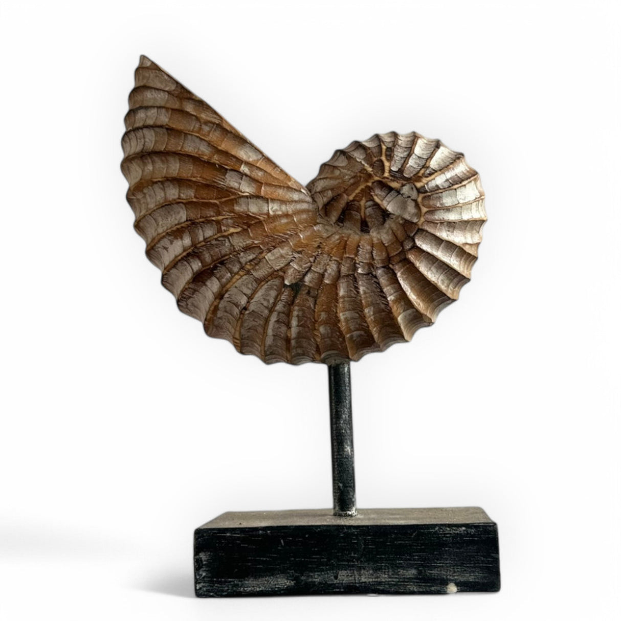Standing Snail Ornaments | Set of 3