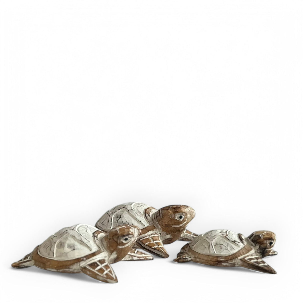 Tortoise Ornaments | Set of 3, Wood Wash
