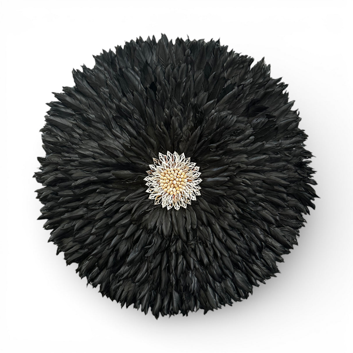 Black Feather Halo Wall Decor