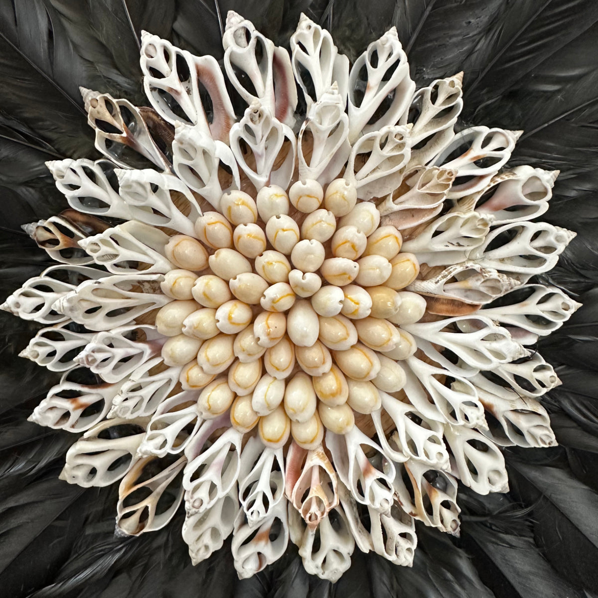 Decorative wall art made of seashells on a dark background