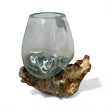 Organic Driftwood Glass Decorative