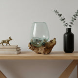 Organic Driftwood Glass Decorative