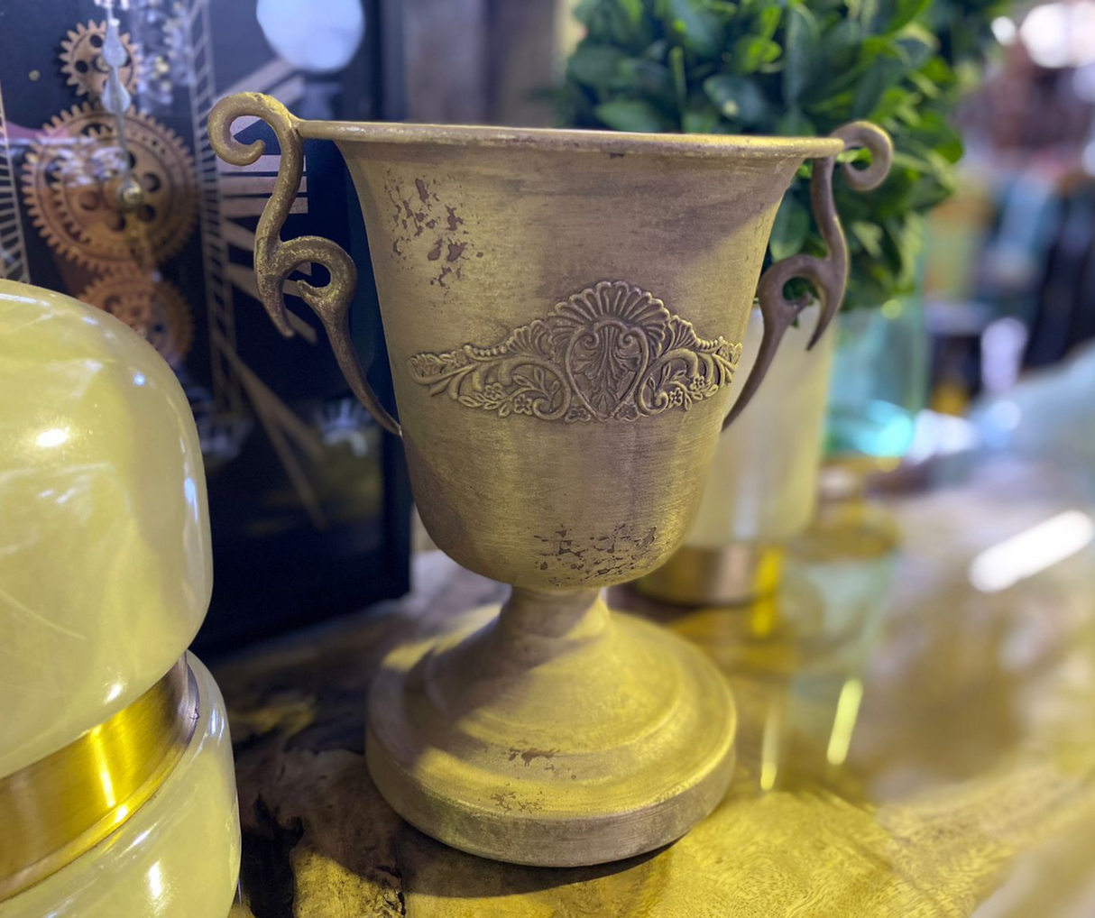 Tyrone Cup 27cm