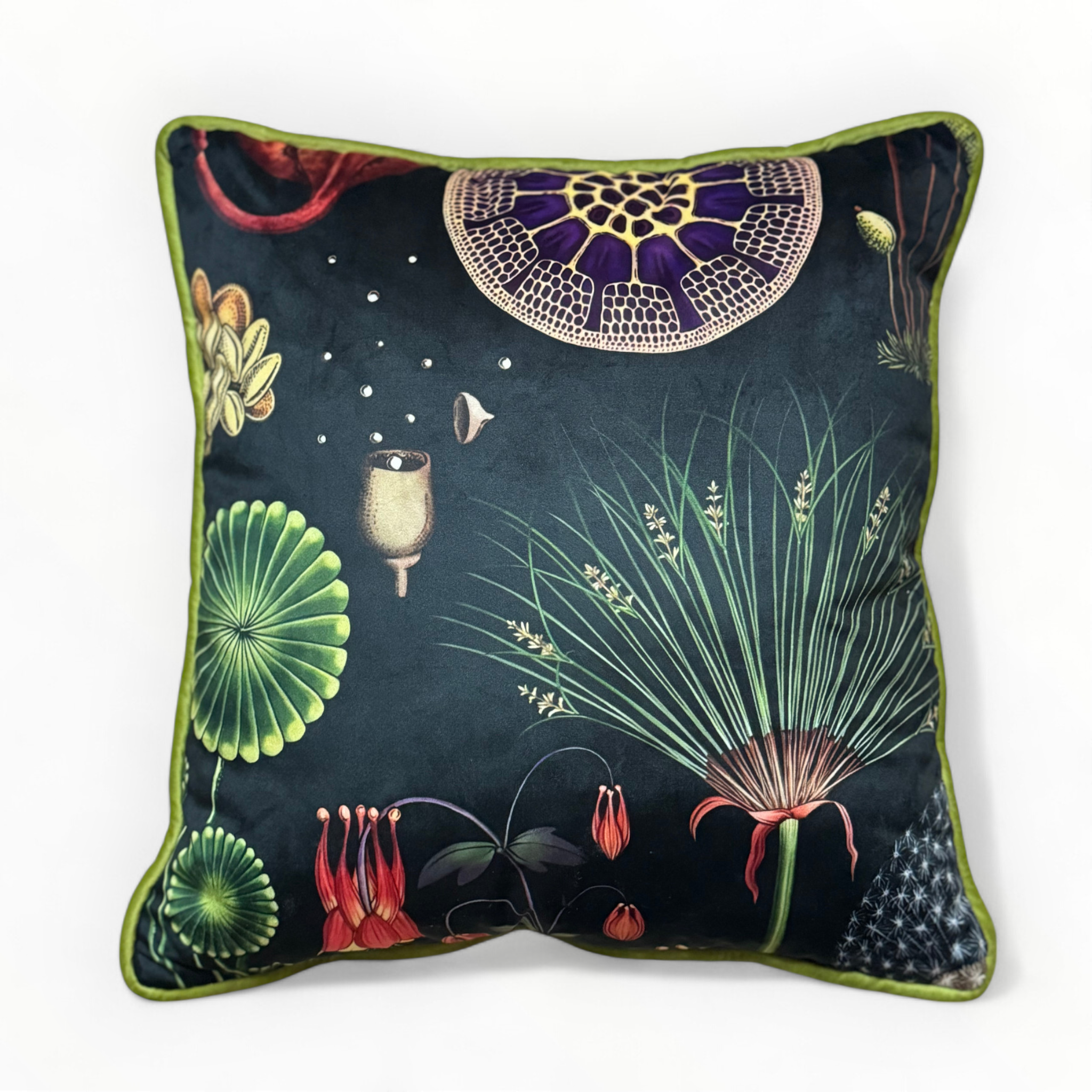 Scatter Cushion | Botanical B10 | House Range 45x48cm