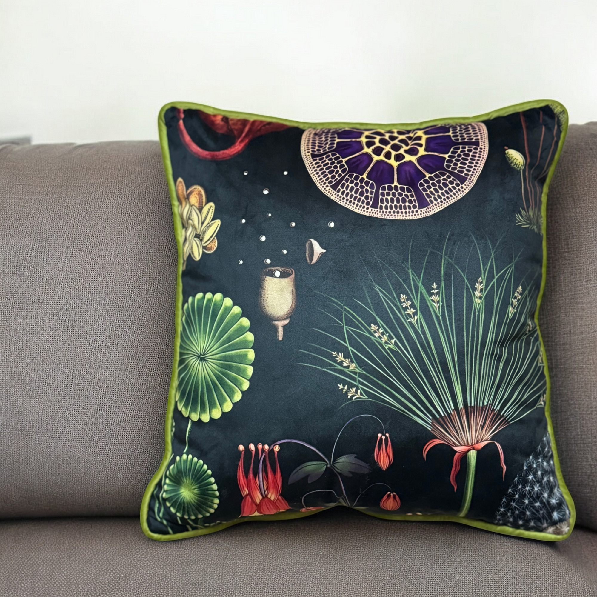 Scatter Cushion | Botanical B10 | House Range 45x48cm