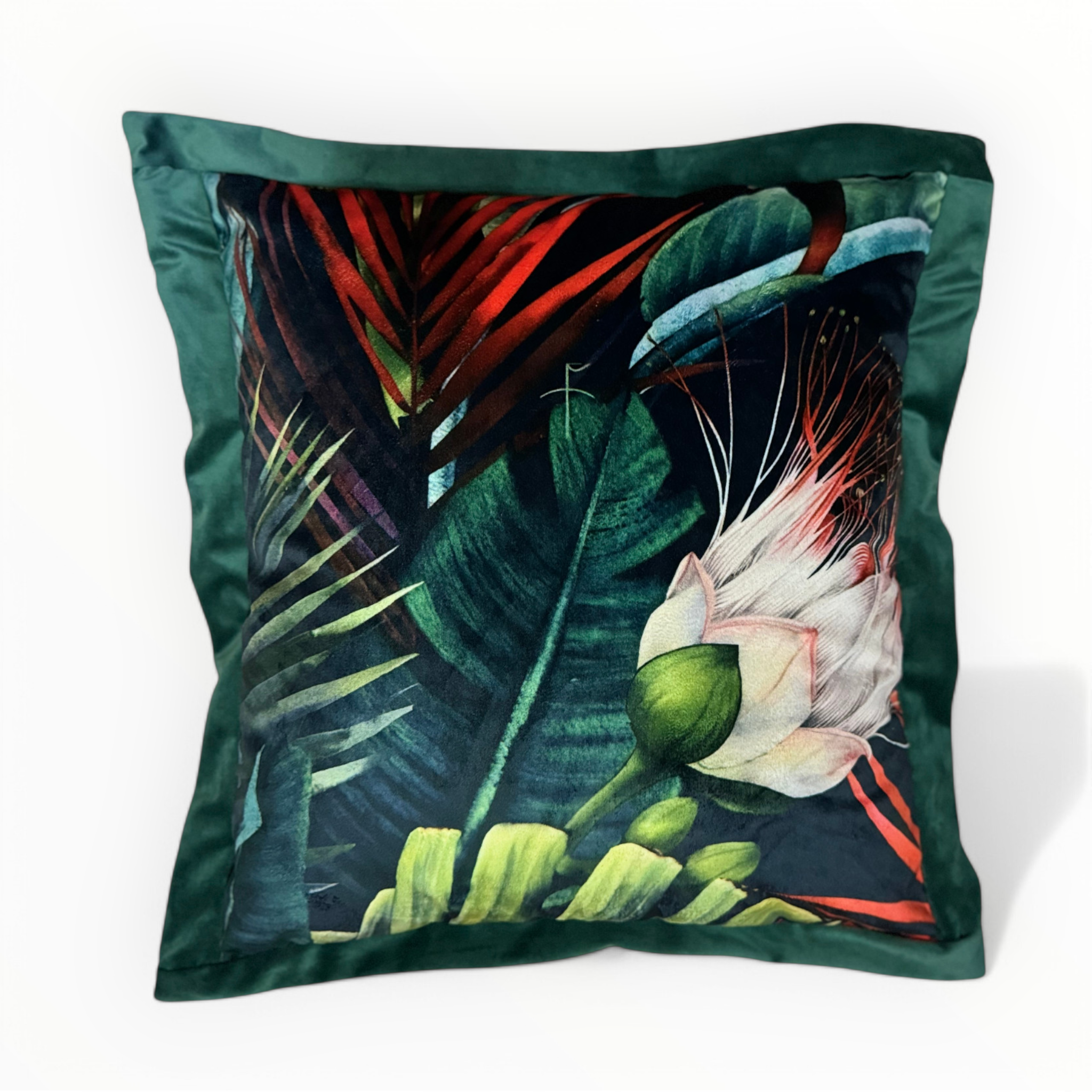 Scatter Cushion | Botanical B9 | House Range 45x48cm