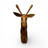 Hand-carved wooden giraffe sculpture with a natural two-tone finish, featuring detailed facial features, long ossicones, carved ears, and a rustic textured body, perfect as an African-inspired decorative accent for homes, lodges, offices, or safari-themed interiors.