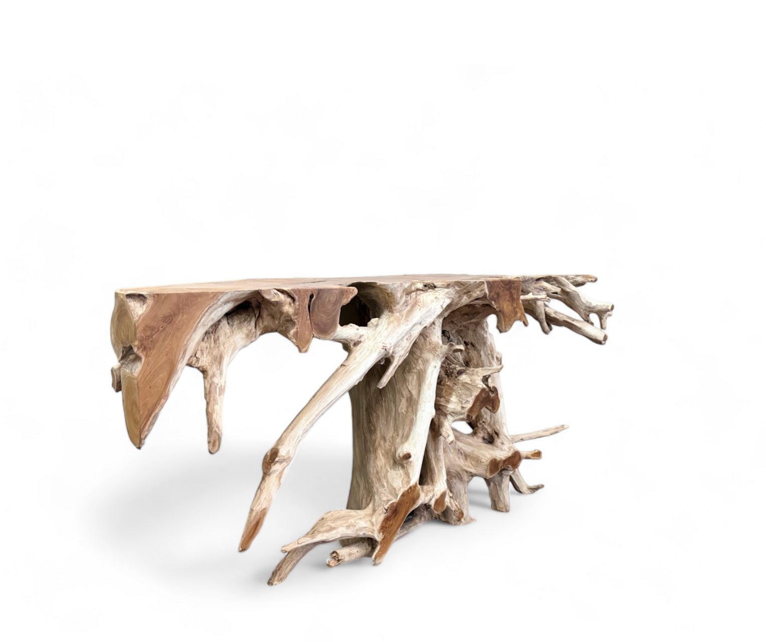 Console Table Tree Root | Long Natural 1,8m