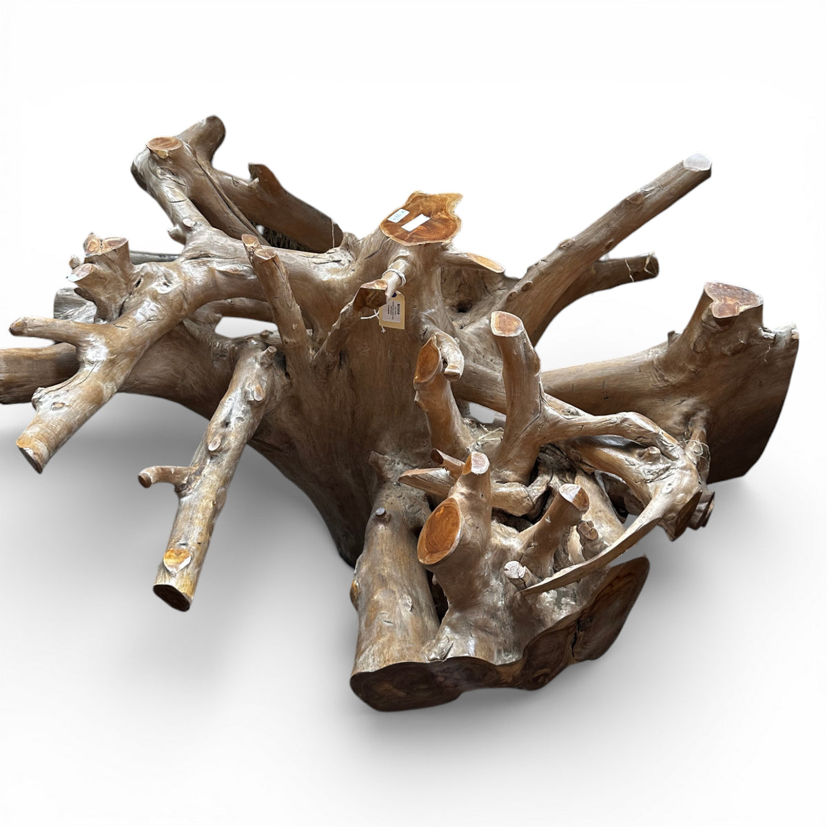 Handcrafted teak root coffee table base made from solid reclaimed natural wood, showcasing an intricate network of organic branches and exposed roots. Each piece is uniquely sculptural, making it a striking foundation for a custom glass tabletop in luxury homes, lodges, boutique hotels, or nature-inspired interiors.