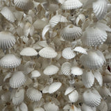 Handcrafted cascading chandelier made from natural white seashells, featuring layered shell strands that create an elegant coastal-inspired statement. Perfect for dining rooms, living spaces, bedrooms, boutique hotels, beach homes, or luxury interiors seeking a light and organic aesthetic.